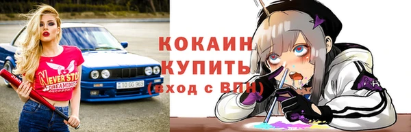 хмурый Ельня