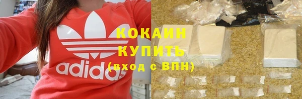дурь Заводоуковск