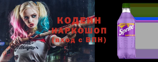 дурь Заводоуковск
