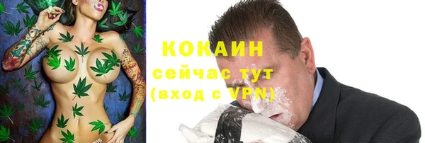 дурь Заводоуковск