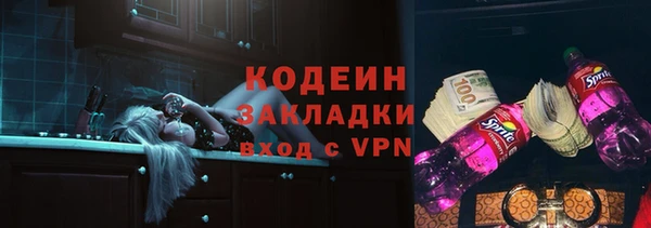 дурь Заводоуковск