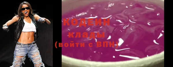 хмурый Ельня