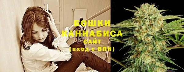 хмурый Ельня