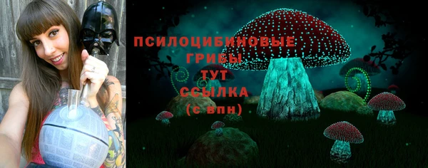 мяу мяу мука Елабуга